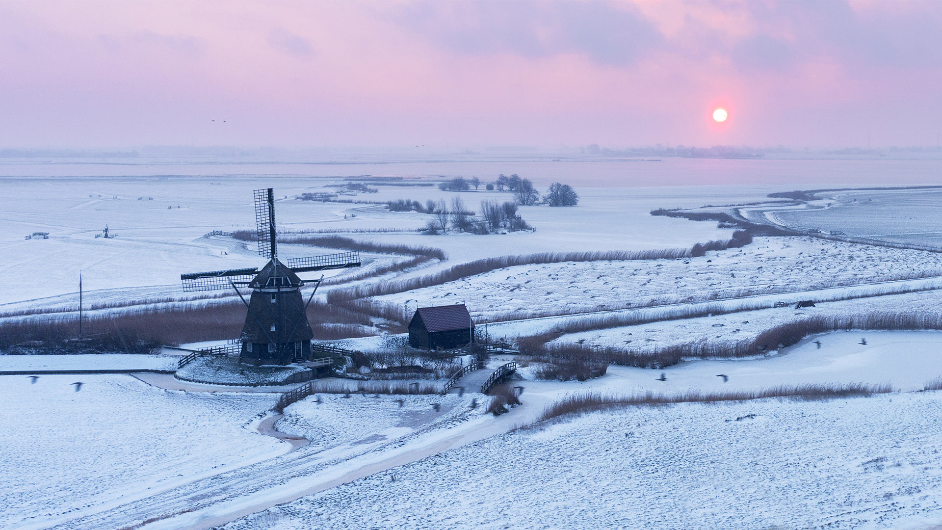 Winter Landschap - vincent fotos