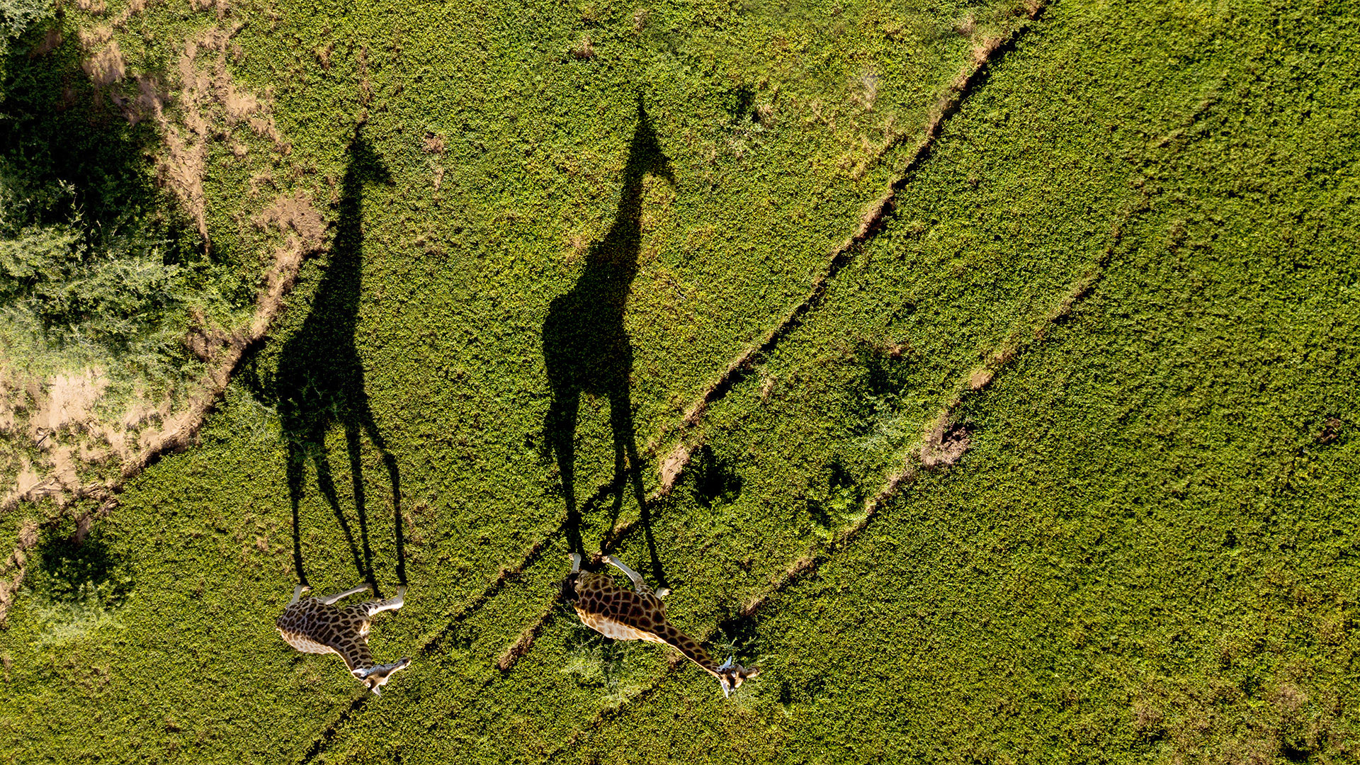 uganda drone - vincent fotos