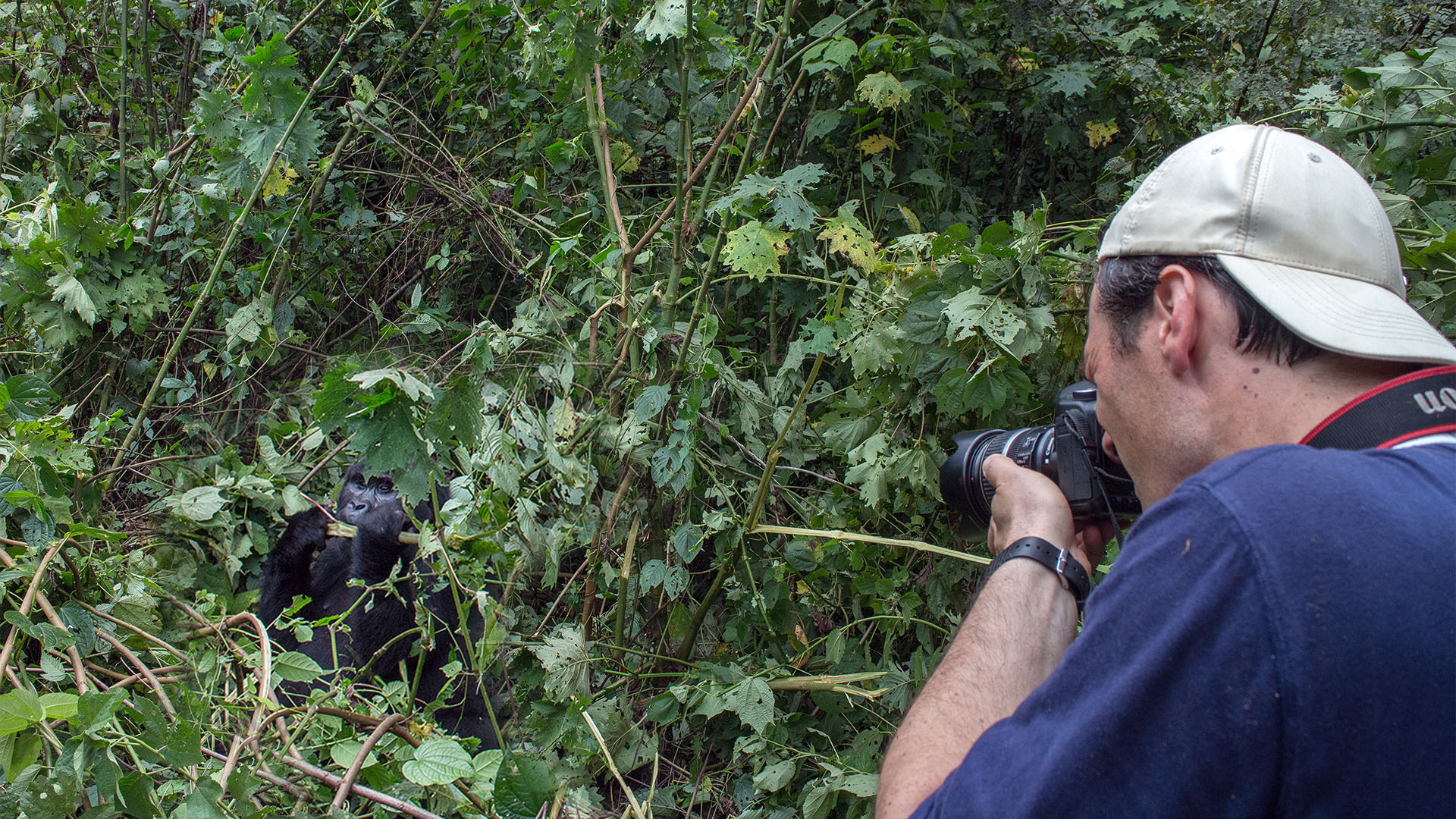 Foto reis naar Uganda, met onder andere Gorilla’s, Chimpanzees en de Big 5