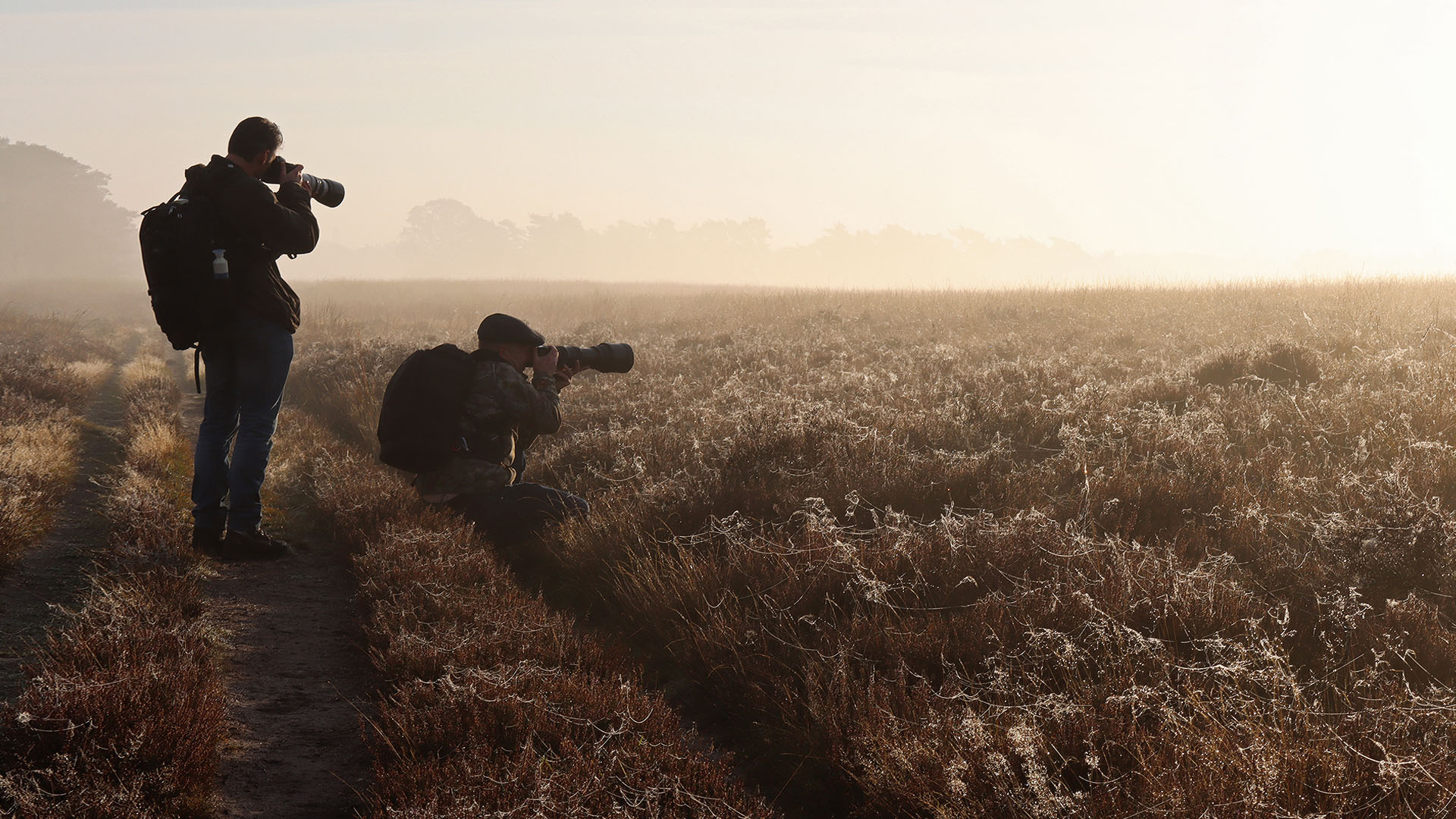 Foto Workshop in Nederland, naar onder andere de Amsterdamse Waterleidingduinen, de Oostvaardersplassen en de Veluwe